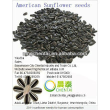 Supply Black Hulled Small Size Sunflower Seeds